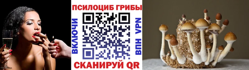 Галлюциногенные грибы ЛСД  Можга 